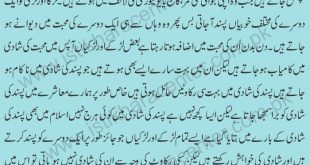 Love Marriage Main Rakawat